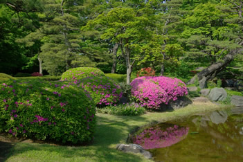 Tokyo Imperial Palace East Garden